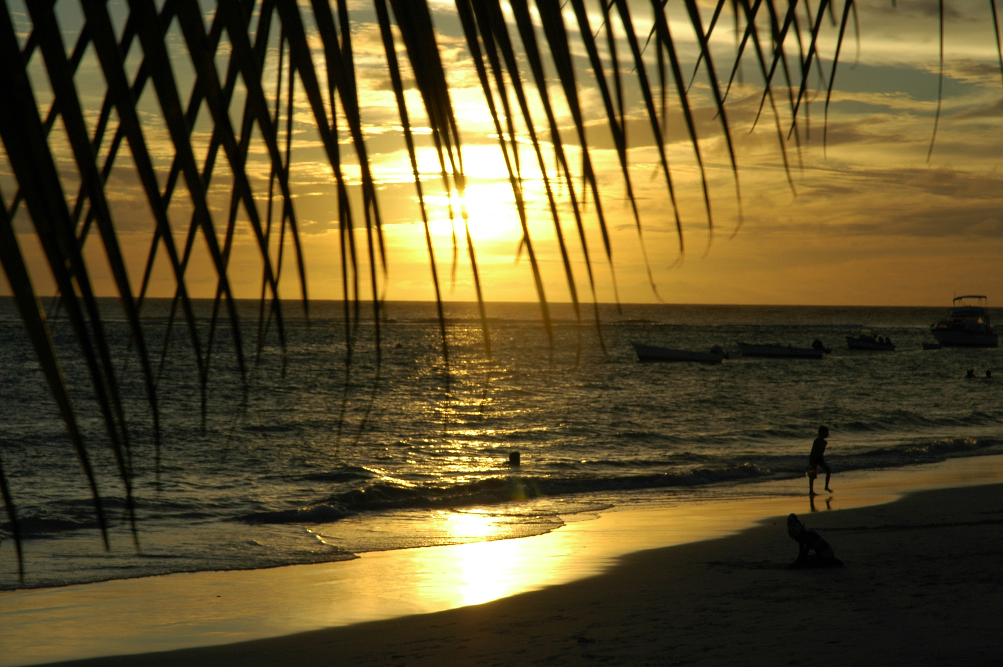 Sunset beach in Barbados