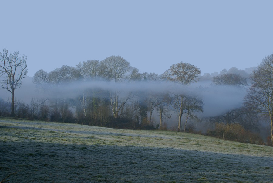 Misty morning in Normandy