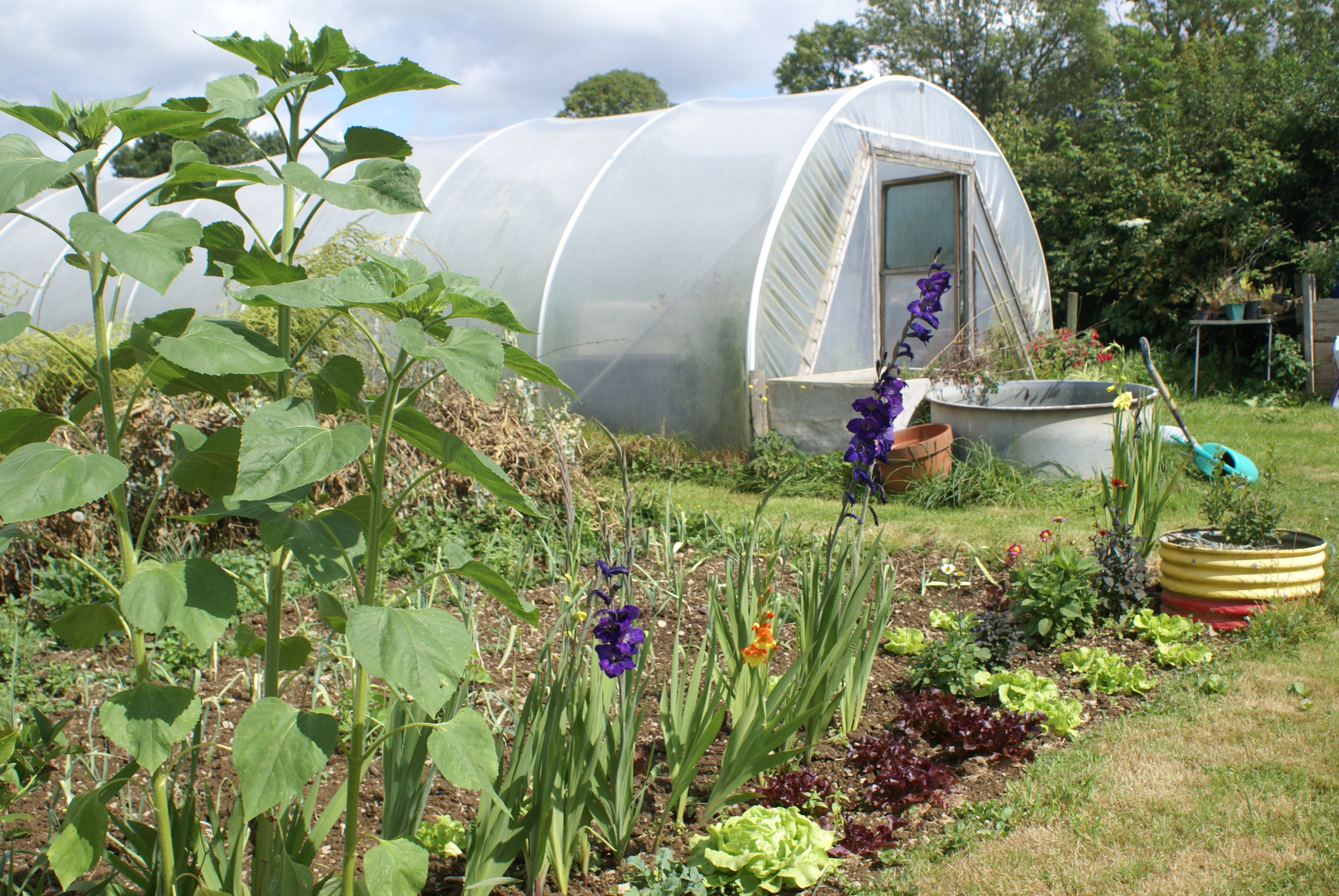 My flower andvegetable garden in Normandy