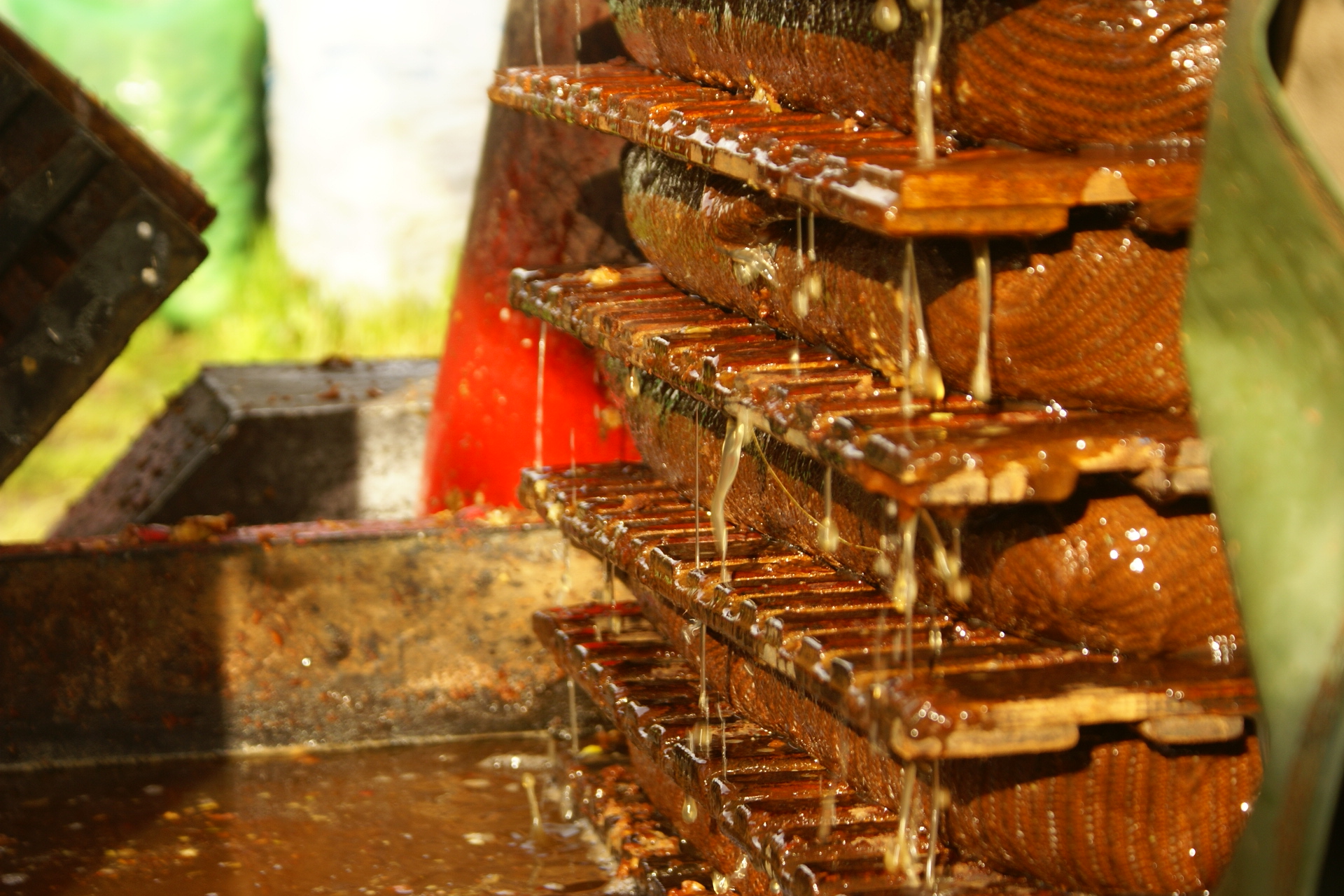 Juicing apples in Normandy to make cider