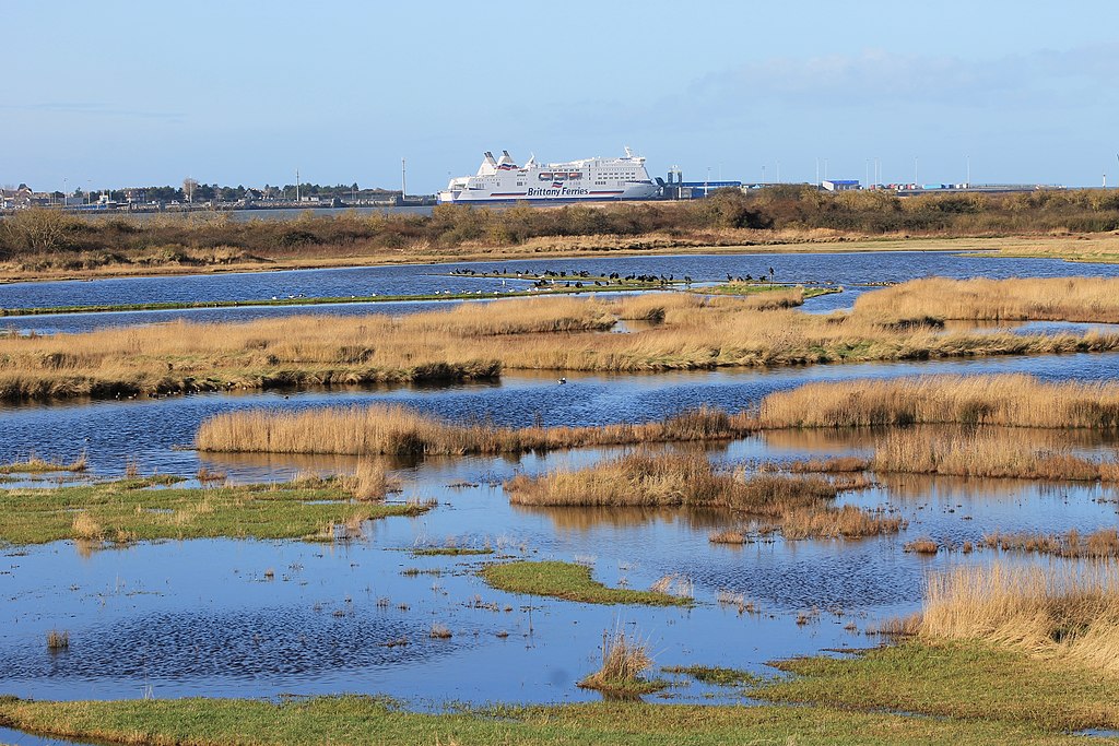 The Orne Estuary, Normandy - une grande biodiversité. Si vous arrivez en Normandie par ferry pour Caen vous arriverez au bord de cet estuaire.   Orne Estuary - Estuaire de l'Orne, Normandie