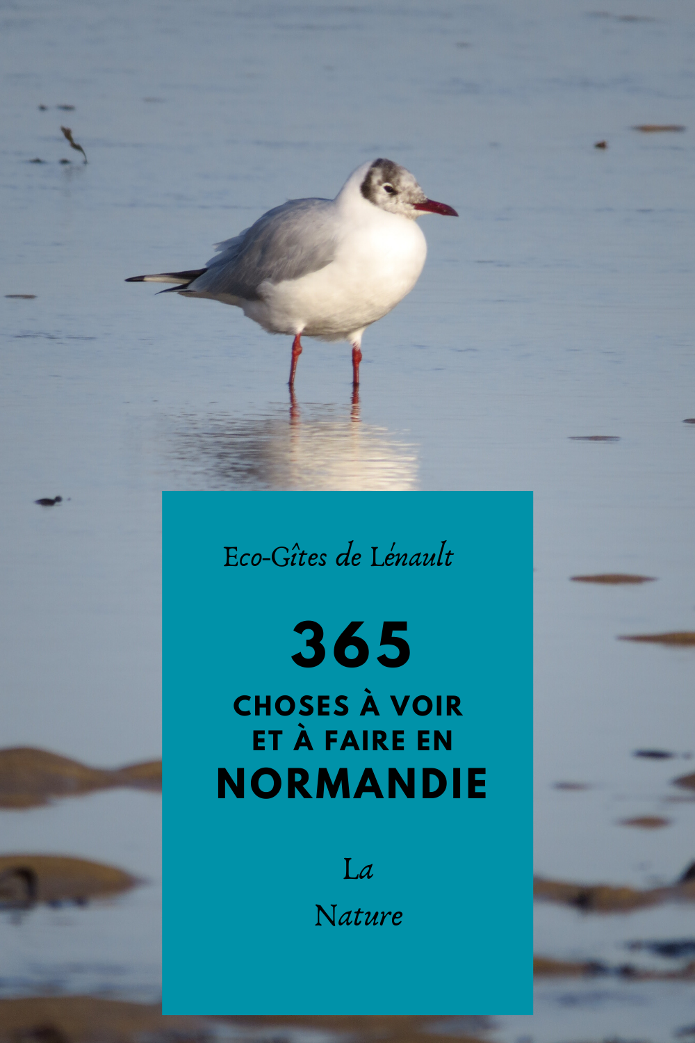 La nature de Normandie