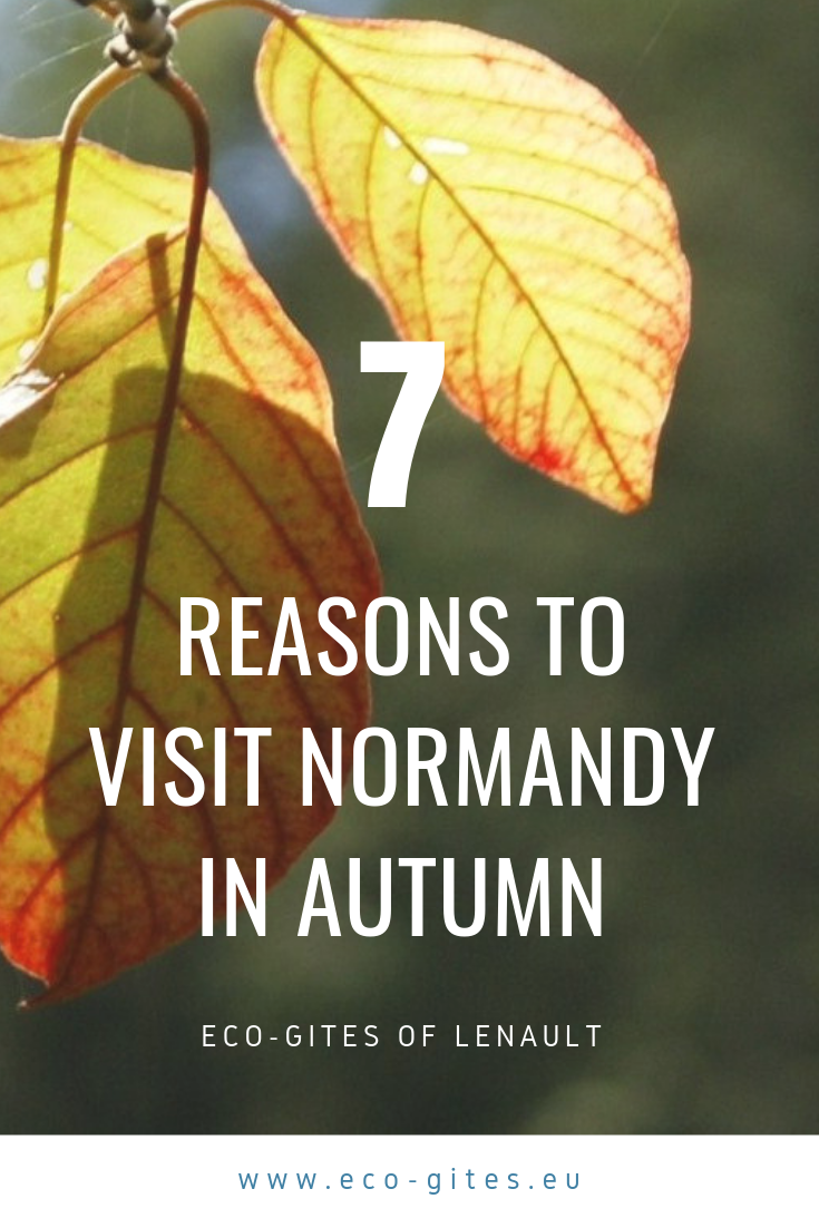 7 reasons to visit NOrmandy in Autumn with Eco-Gites of Lenault