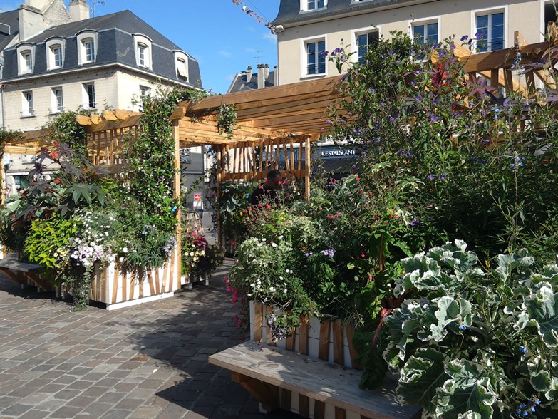 Planters in Caen looked after by school children