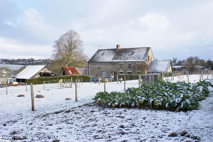 Winter in the garden at Eco-Gites of Lenault, Normandy