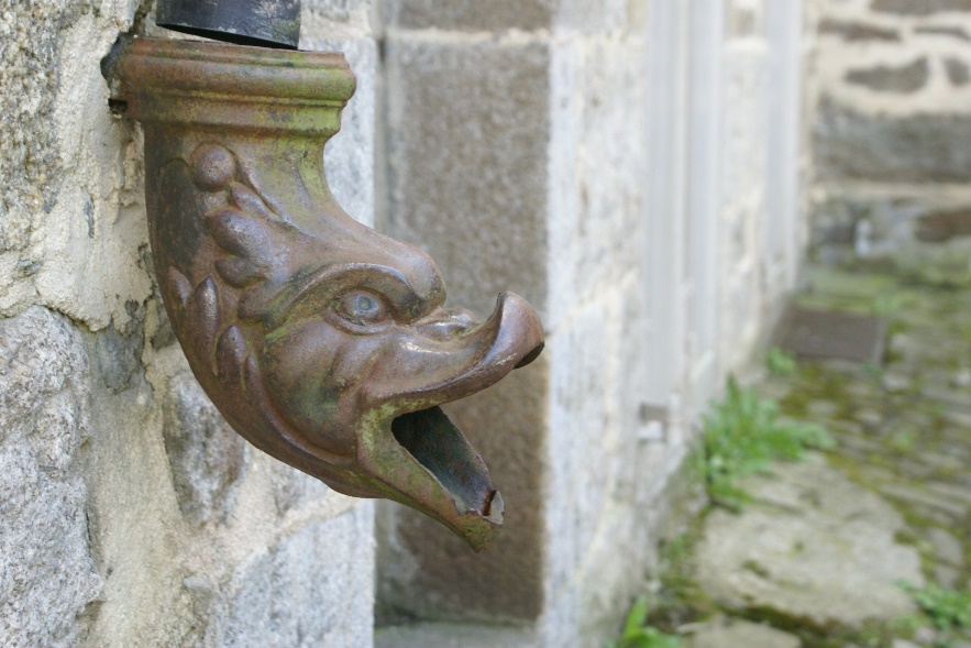 Fish drainpipe in Dinan