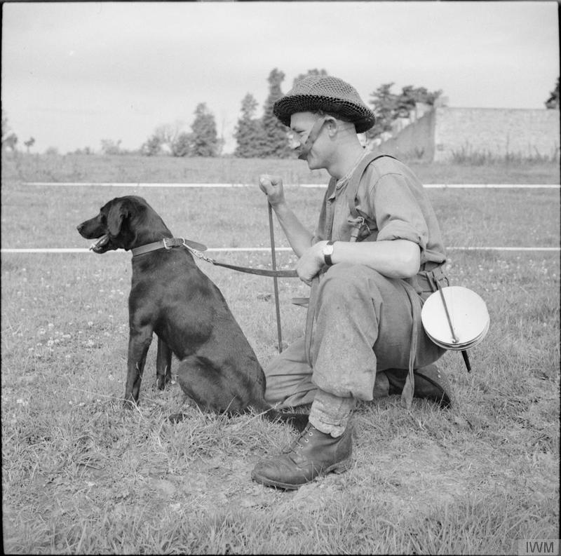 Dod "soldier" in Normandy, 1944