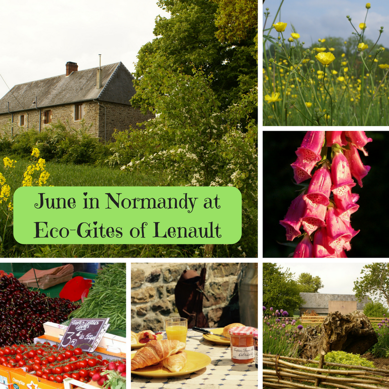 June highlights at Eco-Gites of Lenault, Normandy, France