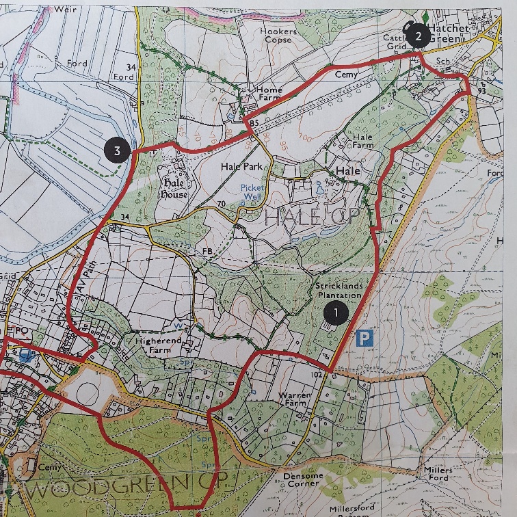 New Forest map Hale 