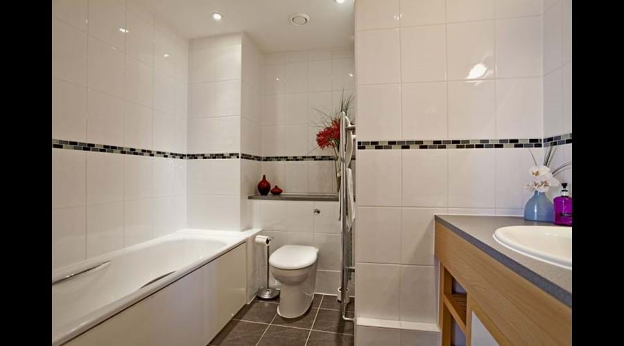 Luxury bathroom