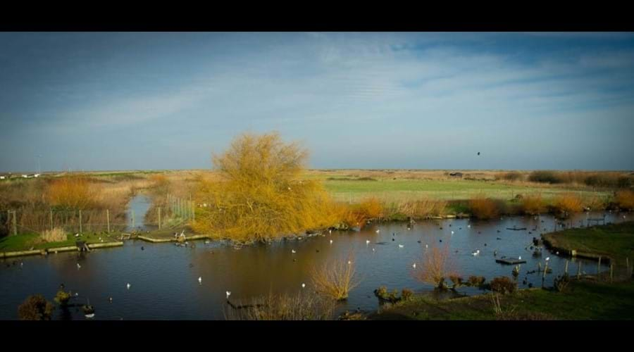 The bird reserve Blakeney