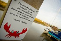 Crabbing on the Quay