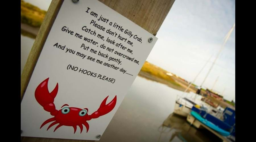 Crabbing on the Quay