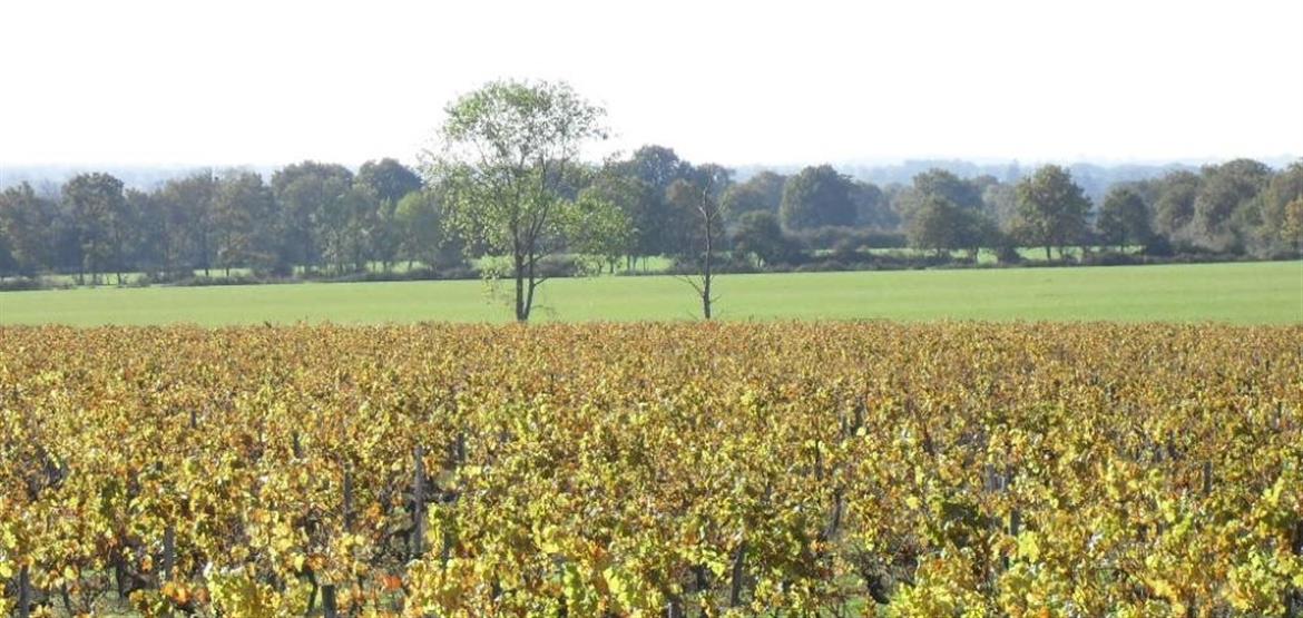 0, 31, 880, 418, 1000, 474