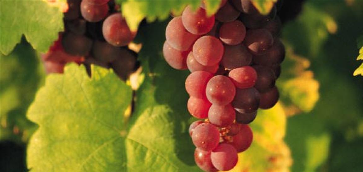 0, 59, 880, 416, 600, 283