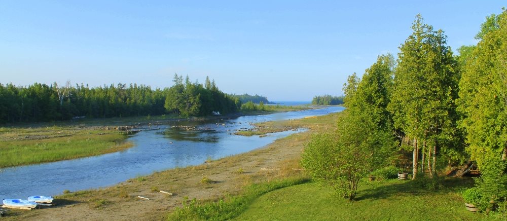 Spring 2013 looking toward the south from the front deck in the early morning.