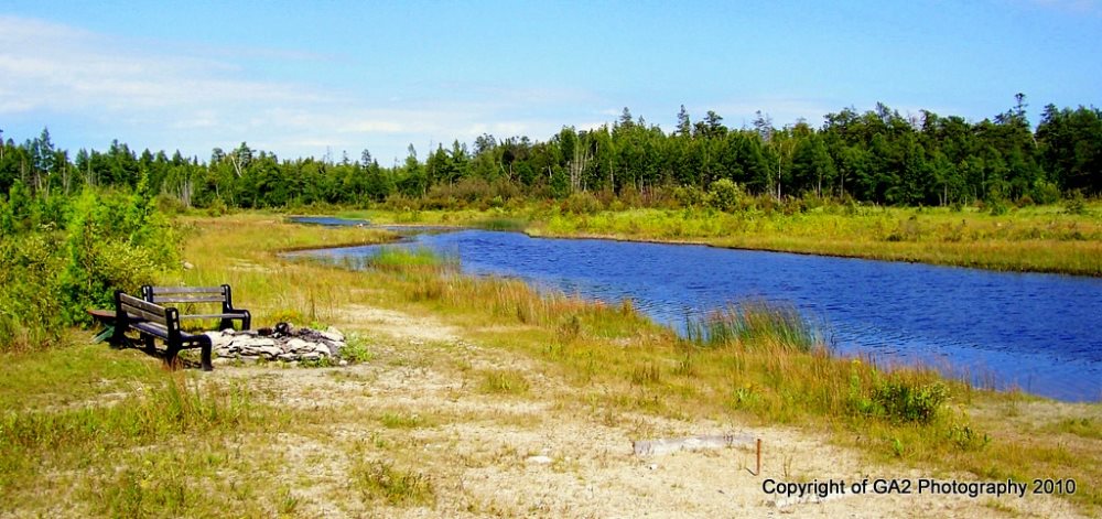 The view looking north east showing the fire-pit, benches and the nearby forest.