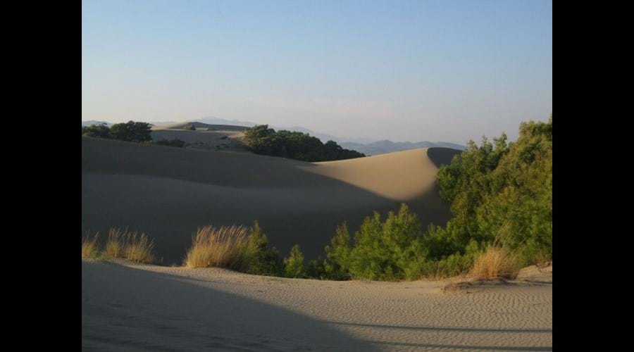 Patara Sand Dunes