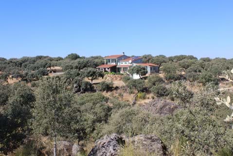The villa is set amongst holm oaks and granite rocks.
