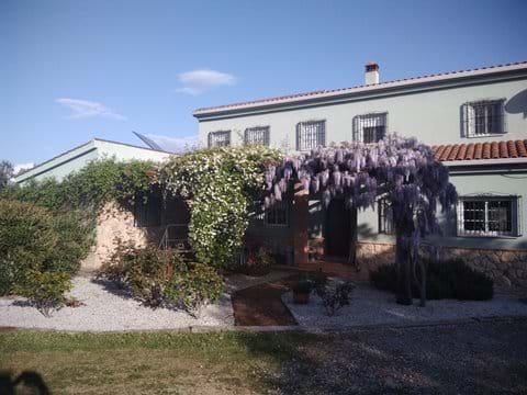 Patio delantero en primavera