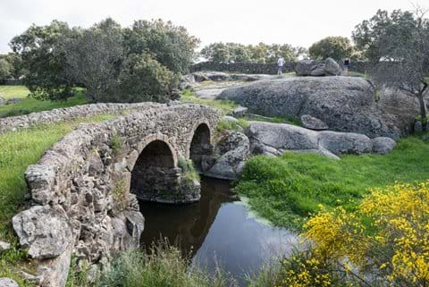 Puente de Capellan (J.Corner)