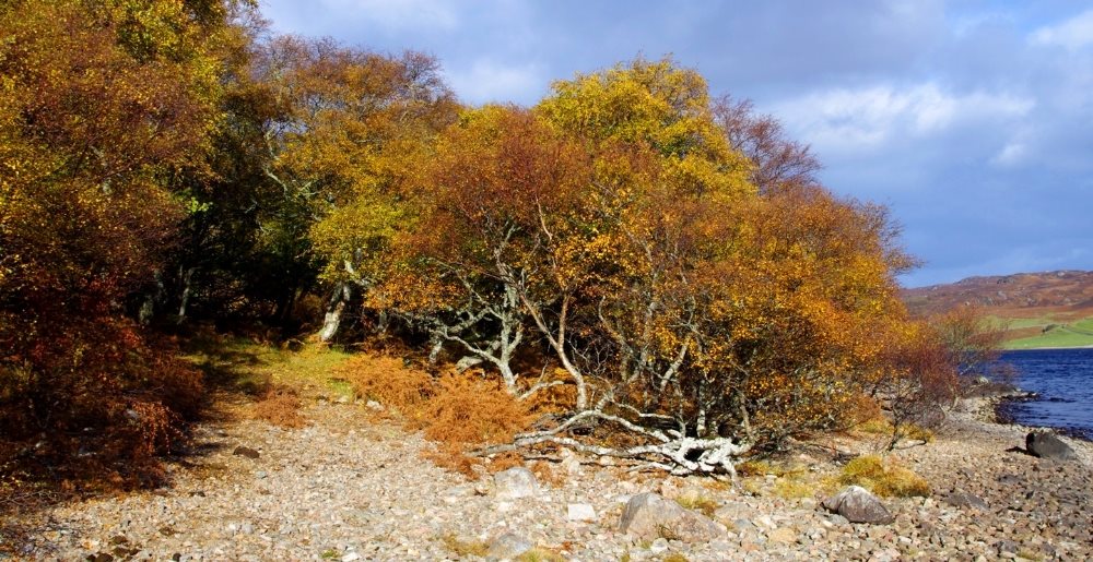 Autumn by Loch Hope