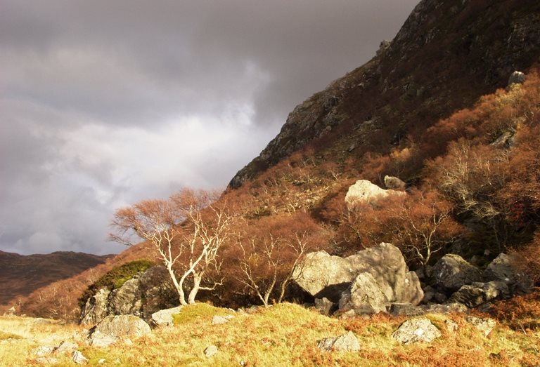 A dramatic winter landscape