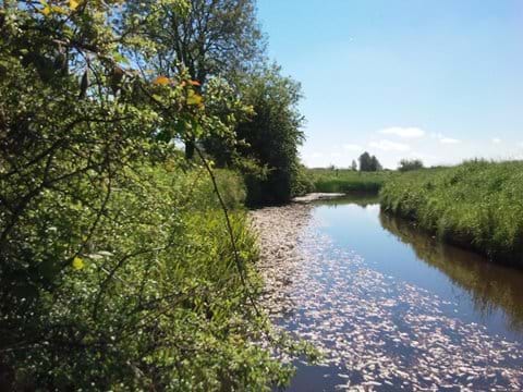 Enjoy a picnic,do a spot of fishing,or just amble along by its banks.