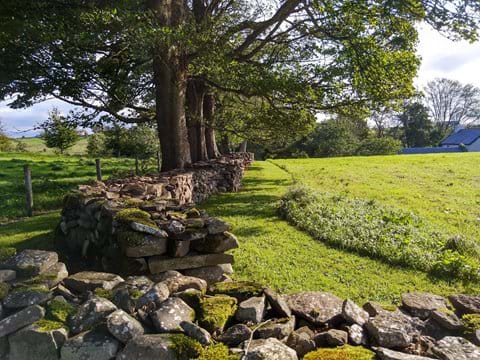Dry stone walls, mature trees and its all yours.