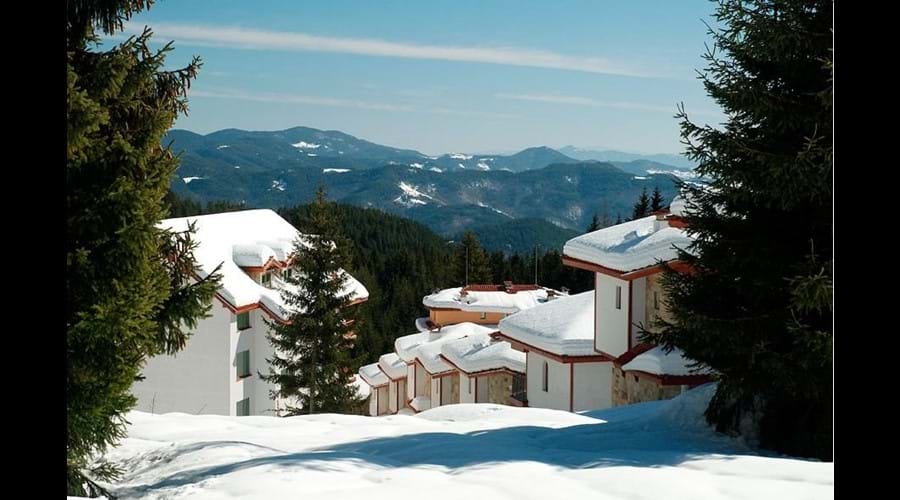 Magnificent Mountain Views from our family ski accommodation