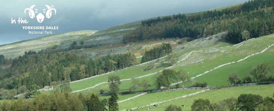 Self Catering Cottage In The Heart Of The Yorkshire Dales