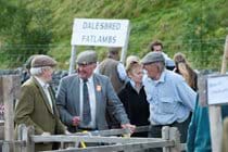 Having a good time at the Kilnsey show