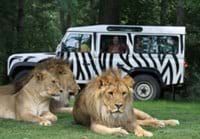 Longleat safari park is a great day out for all ages