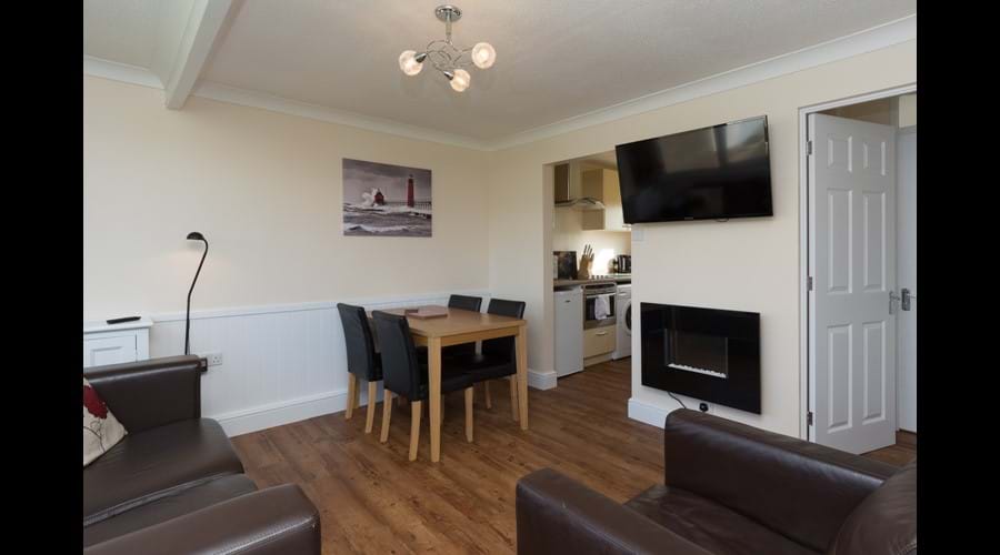 Large flat screen TV & modern electric feature fire