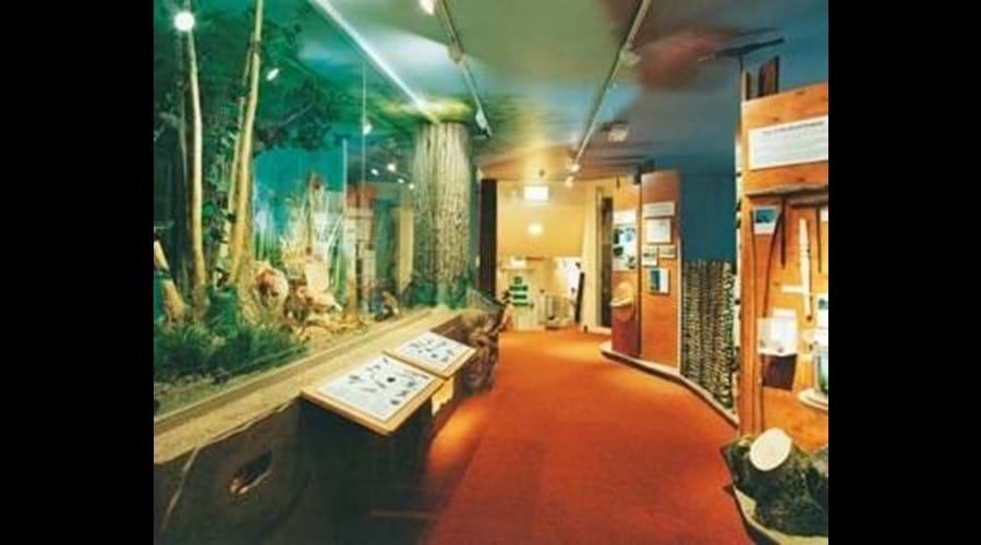 Museum Gallery