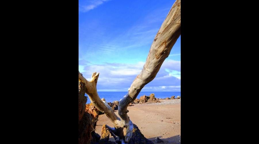 Hillockhead beach