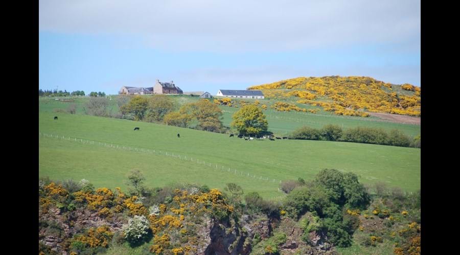 Hillockhead from the beach