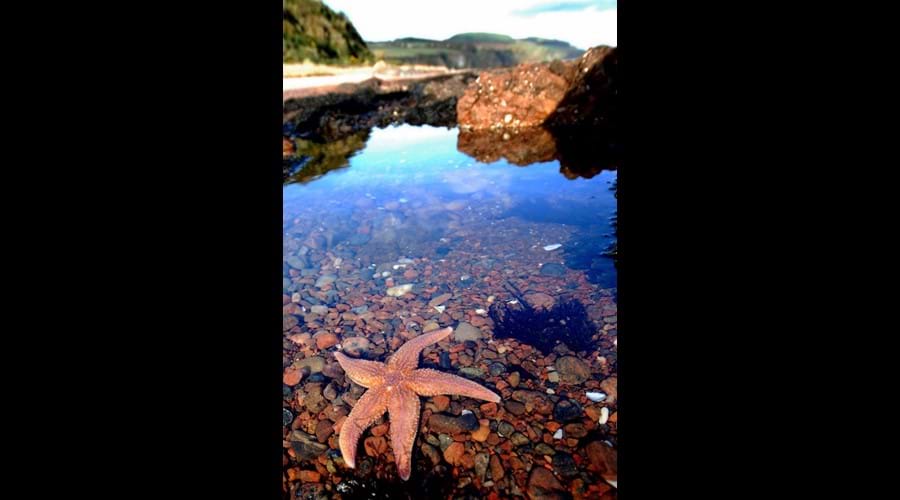 Rockpools!