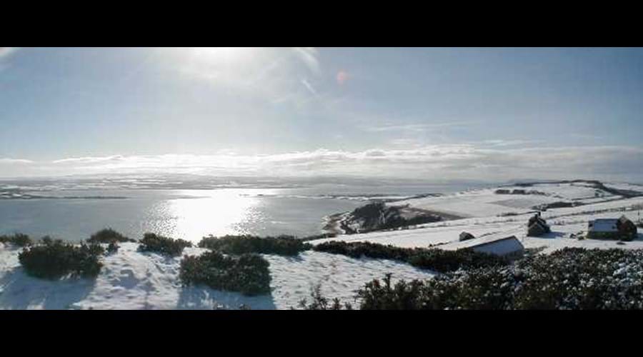 Winter scene
