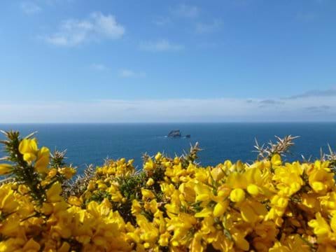 Bawden Rocks from one of the many stunning walks around St Agnes