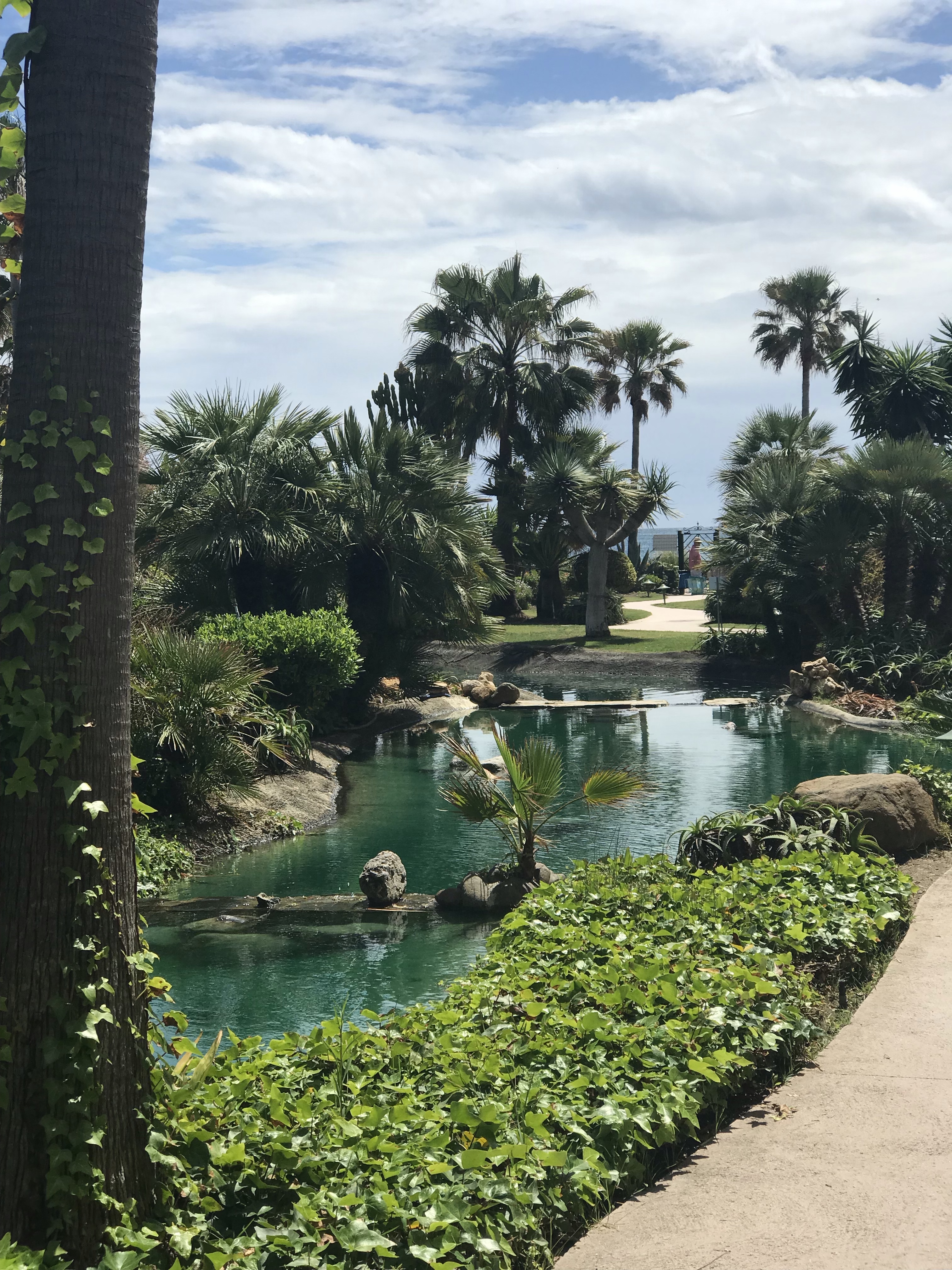 A beautiful pathway leading down to the beach