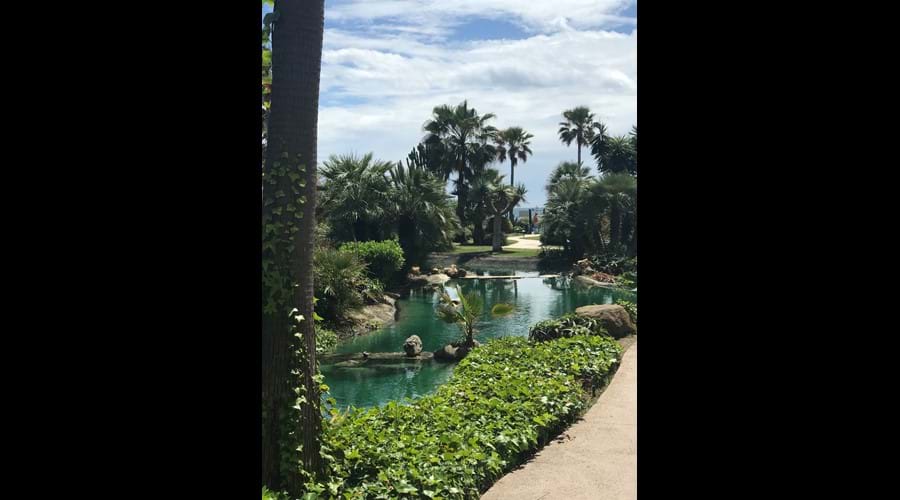 A beautiful pathway leading down to the beach
