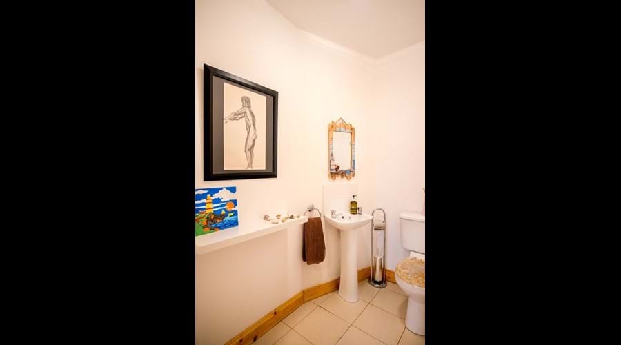 Large downstairs Toilet