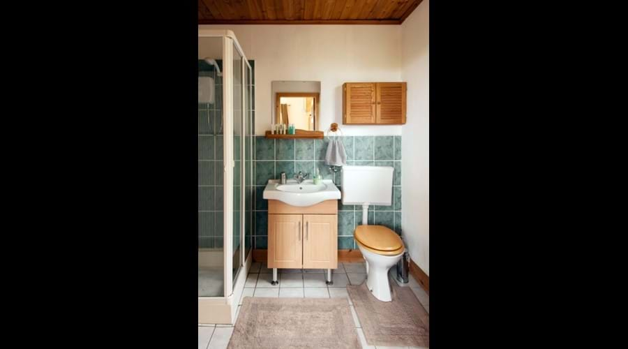 En-suite bathroom 1