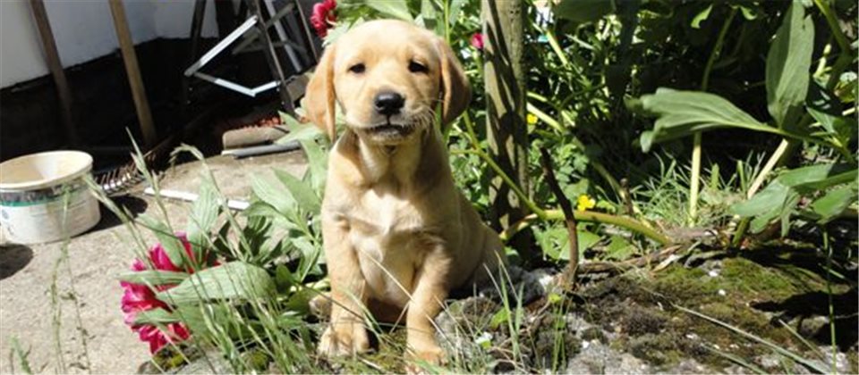 20, 106, 960, 420, 602, 263