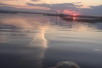 Even the dog can enjoy the sunset !