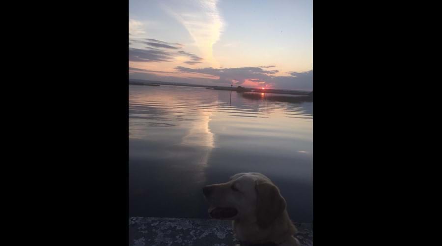 Even the dog can enjoy the sunset !