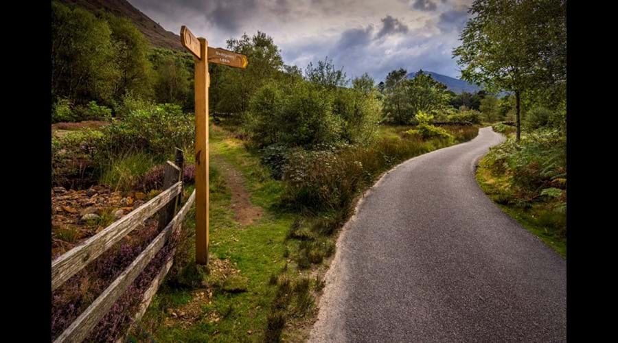 Beddgelert Walks