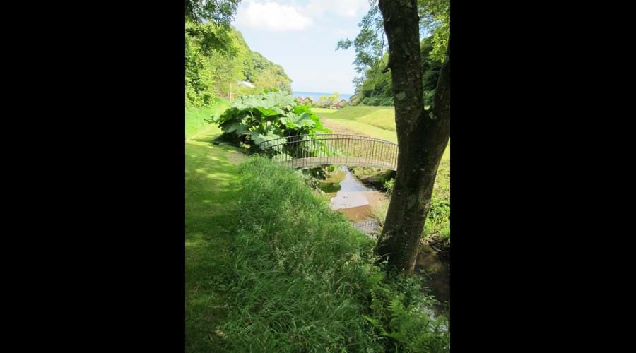 Grounds with Waterwynch in background