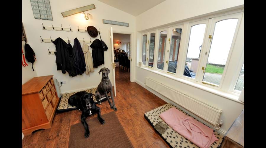 Dog Room with dog flap into fenced area